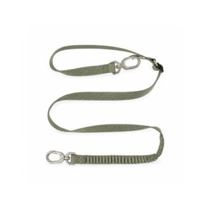 Bungee Dog Leash