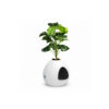Egg-Shaped Planter Cat Litter Box